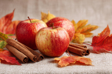 Apples with cinnamon sticks and autumn leaves on beige. Fall harvest concept for thanksgiving day card, autumn season greetings, and cooking recipe background