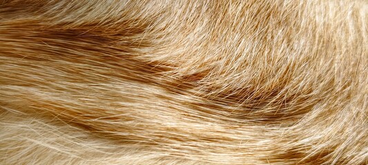 The texture of the light brown fur is soft.