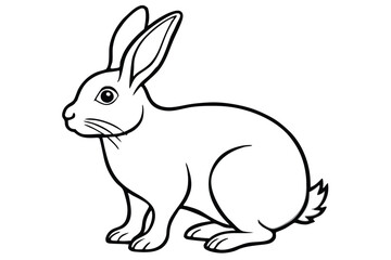 Simple line art rabbit shows a bunny outlined on a white backdrop