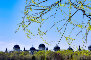 Fototapete bei efototapeten.de bestellen   