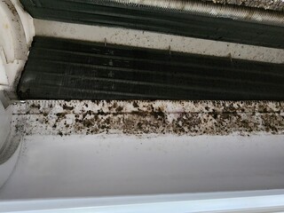 Air conditioner, an electrical appliance used to adjust the temperature of the air in a home, becomes dirty and requires cleaning of mold stains.