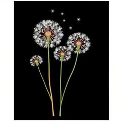 Dandelion seeds flying in the wind on black background
