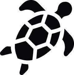 Obraz premium A leather soccer ball with black and white patches symbolizes the fun and competitive spirit of the game