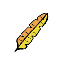 ILLUSTRATION FOR THE NATURE THEME	
