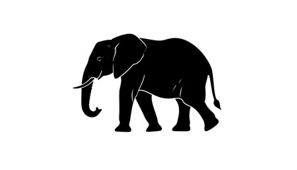 Obraz premium Silhouette of an elephant (1)