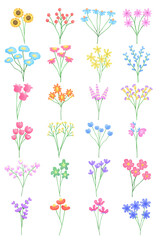 Hand draw Set Flower collection with watercolors, Bouquet