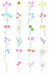 Hand draw Set Flower collection with watercolors