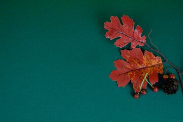 Red oak leaves, red berries and a pine cone lie on a green background. Space for text.