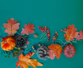 Autumn leaves, pine cones and pumpkin lie on a green background