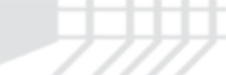 shadow overlay effects of realistic window and tree branch shadow with light blur on transparent background, empty white room