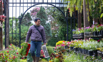 Young Asian gardener is choosing flowering plant from the local garden center nursery full of summer plant for weekend gardening and outdoor hobby concept