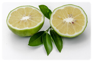 Citrons bio