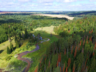 Aerial view landscape with river and forest on sunny summer day