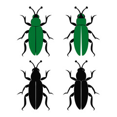 Aet of Ground Beetles