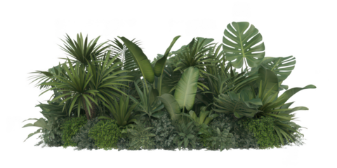 Lush tropical foliage arrangement isolated on transparent background