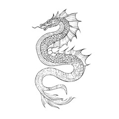 Obraz premium Detailed line art illustration of a serpentine dragon with scales and fins in a stylized pose design art