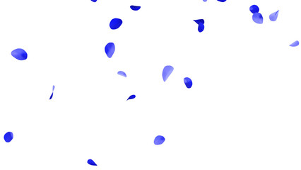 青いバラの花びらの乱舞：背景透過