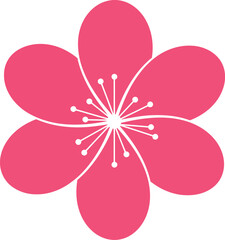 Vibrant pink cherry blossom flower icon