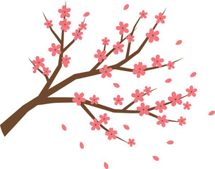 Pink cherry blossom branch falling petals spring nature