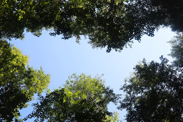 The sky is blue with clouds, beautiful by nature.
