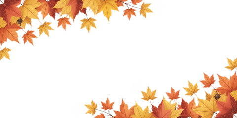 Autumn maple leaves border design isolated on transparent background