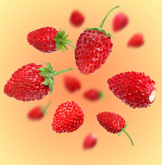 Fresh ripe wild strawberries in air against color gradient background