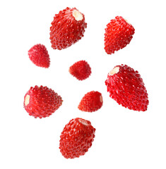 Fresh ripe wild strawberries in air against white background