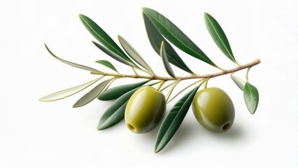 Olive branch with two olives (1)