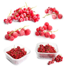 Frozen red currants isolated on white, set. Food preservation
