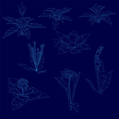 Low polygonal flowers arranged symmetrically on a blue background, each with unique wireframe shapes and textures. The stark contrast between white flowers and blue backdrop creates a striking visual.