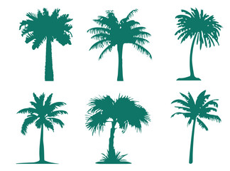 Set of flat green palm tree icons on white background, representing tropical climate, relaxation and nature. Suitable for branding, resort advertising, tropical vacation ads or beach party invitations