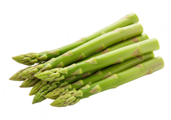 Fresh green asparagus stalks with buds and tips, isolated on transparent background, a healthy and nutritious vegetable for culinary use