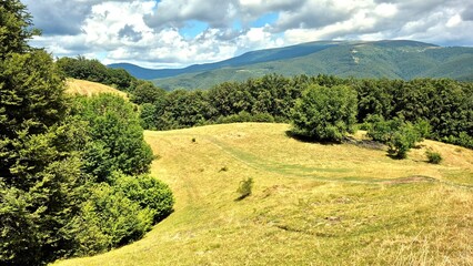 landscape in the mountains
