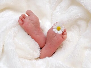 newborn baby feet in a bed