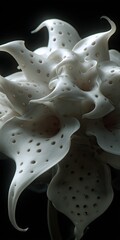 Abstract,  whitish,  organic form with  perforated  textures.  Intricate,  flowing  shapes