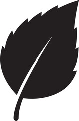 Black and white leaf icon vector illustration graphic