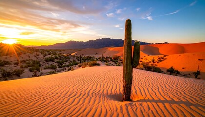 Desert landscape at sunset with tall cactus sand dunes mountains and colorful sky