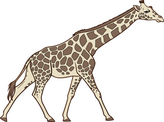 Obraz premium Realistic Giraffe Illustration for Wildlife Art. Detailed Giraffe Drawing for Animal and Nature Projects. Elegant Giraffe Artwork for Safari and Wildlife Themes. Giraffe Clipart Design for Educational