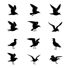 Obraz premium Dynamic seagull silhouettes capture flight and freedom in various graceful poses
