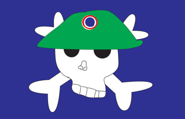 Solder skull with helmet and crossbones. The image features a cartoonish white skull wearing a bright green hat with a red, white, and blue circular emblem