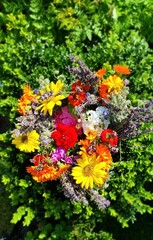 summer flowers  from the bio nature