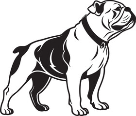 Fototapeta premium Bull dog vector art silhouette image