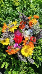 summer flowers  from the bio nature