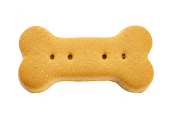 A single dog bone biscuit, a popular pet treat, isolated on a transparent background, perfect for pet food advertising and canine nutrition concepts