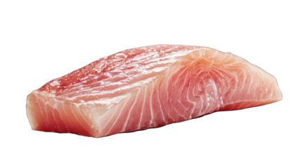 Fresh, raw fish fillet, angled, close-up
