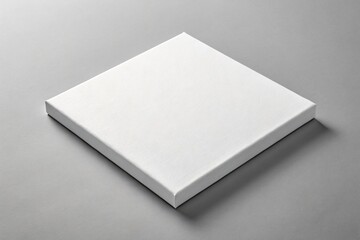 Blank White Square Canvas on Gray Background painting