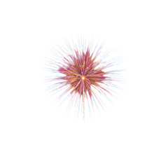 A singular, ultra-photorealistic burst of pyrotechnic fireworks frozen at its peak, displaying vivid pink, electric blue, and fiery orange light streaks against a pristine, transparent studio