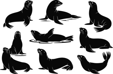 Black silhouette sea lion vector collection, diverse poses of marine mammals, ocean wildlife illustrations, aquatic animals in natural behaviors © CreativeArtist