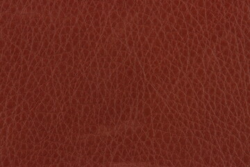 leather texture background. 