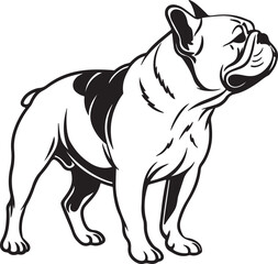 Fototapeta premium Bull dog vector art silhouette image